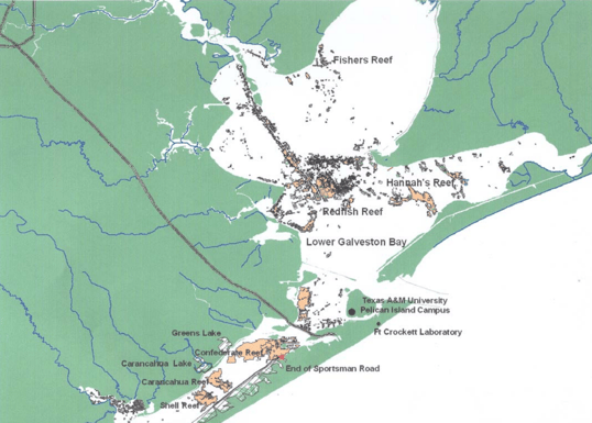 galveston fishing trip