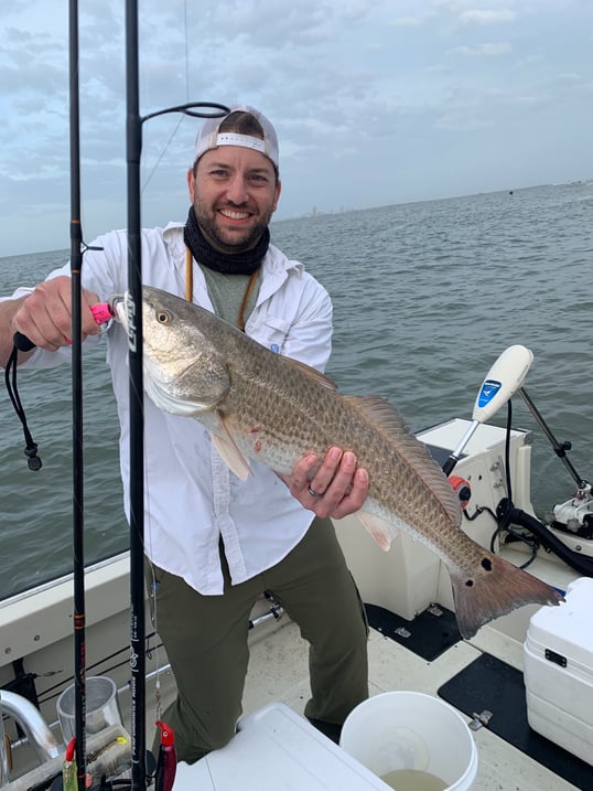Galveston redfish
