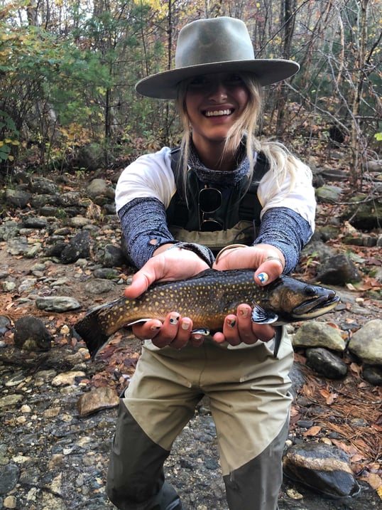 brook trout