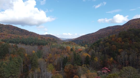 fly fishing north carolina trout