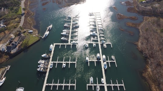 harwich fishing trips