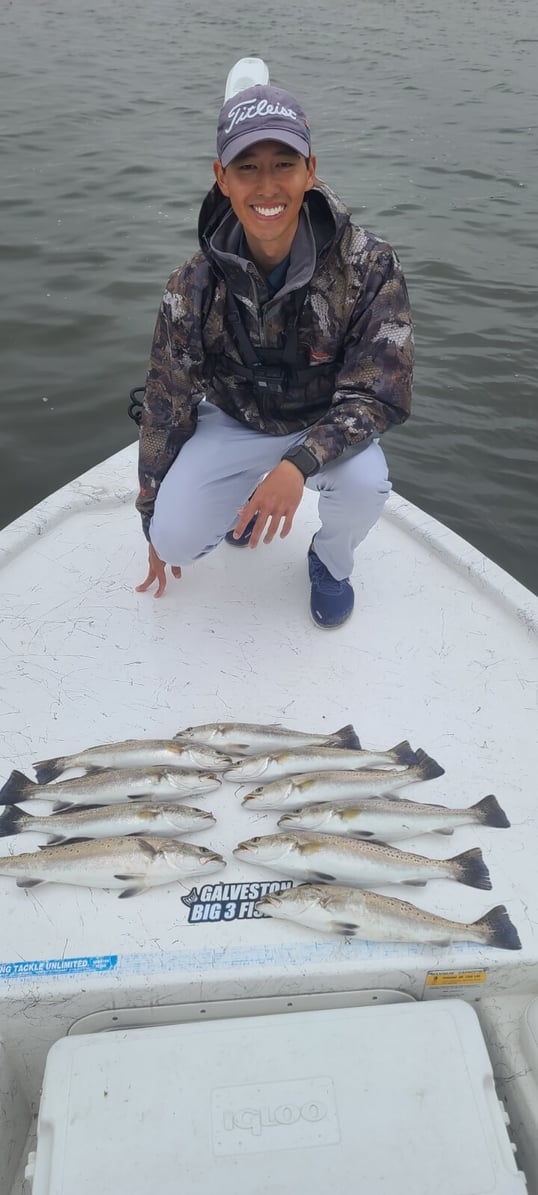 galveston fishing charter