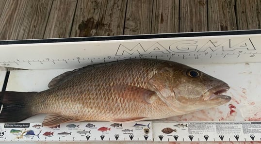 Key West fishing charters