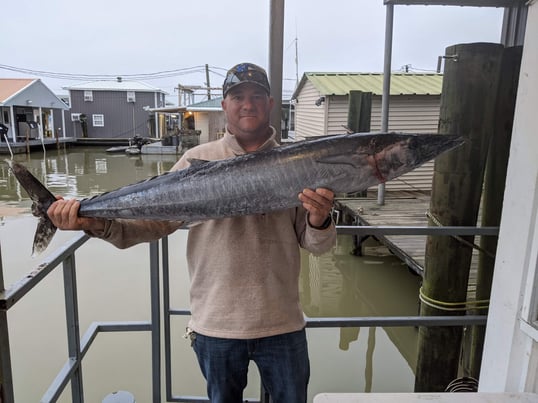 venice fishing charters