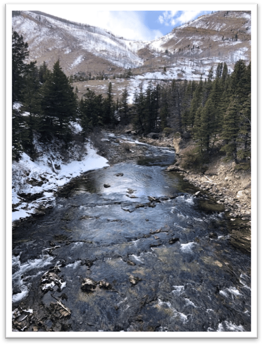 montana fishing guides