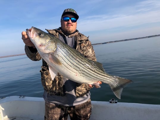 venice fa inshore fishing