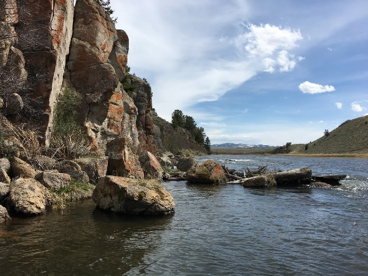 Montana fly fishing guide