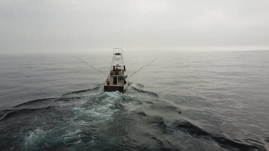 boat trolling for tuna