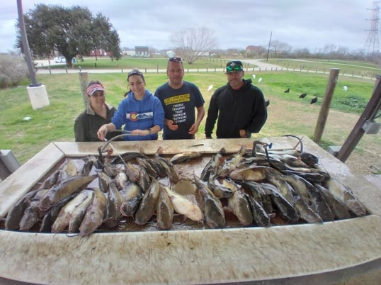 galveston fishing charter
