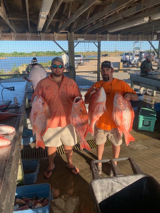 offshore fishing charters galveston tx