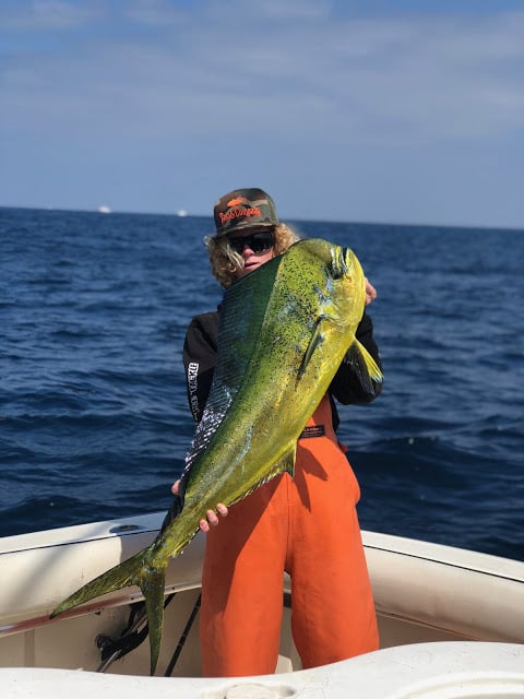 Mahi Mahi