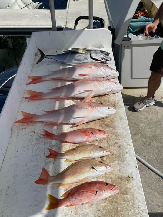 key west fishing trips