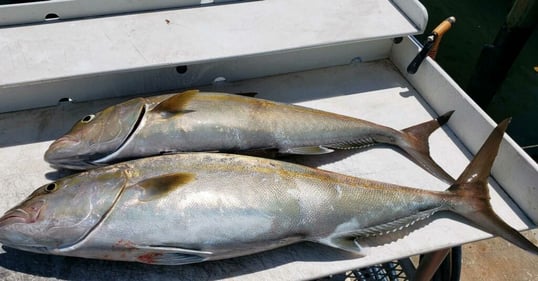 West palm beach fishing charter