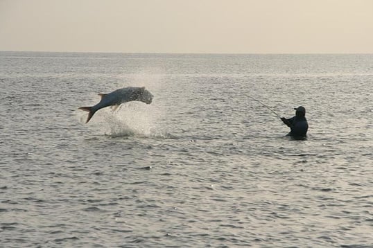 Captain Michael LaRue