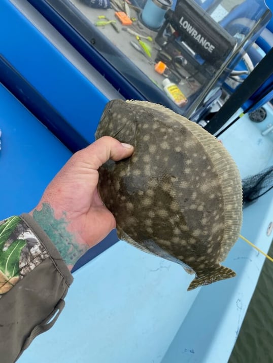 galveston fishing trips