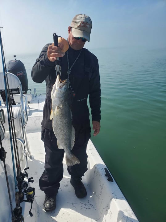 fish freeze texas bays