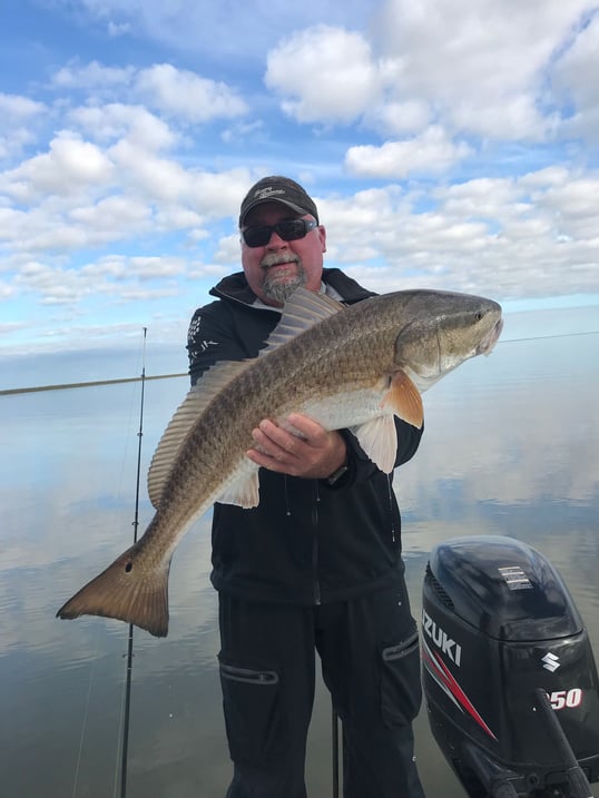 venice fishing charters redfish