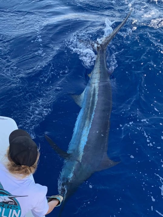 kona blue marlin fishing