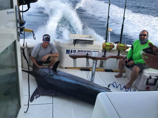 matagorda marlin fishing