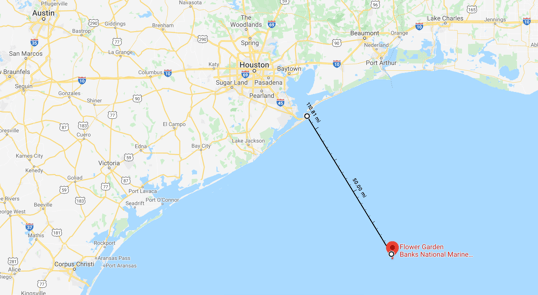 flower gardens fishing