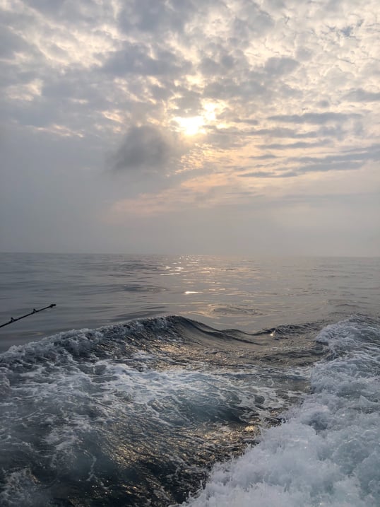 Offshore Fishing Trips Galveston TX