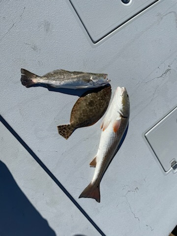 galveston tx cheap inshore fishing trips