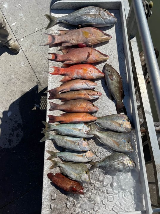 clearwater fishing charter