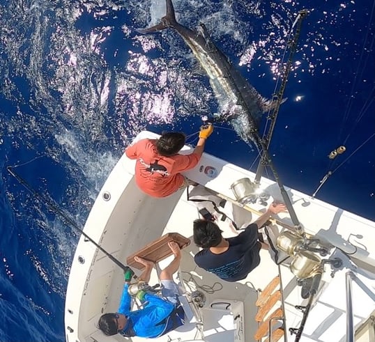 kona fishing charter