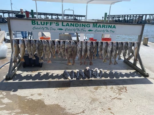 corpus christi fishing charter