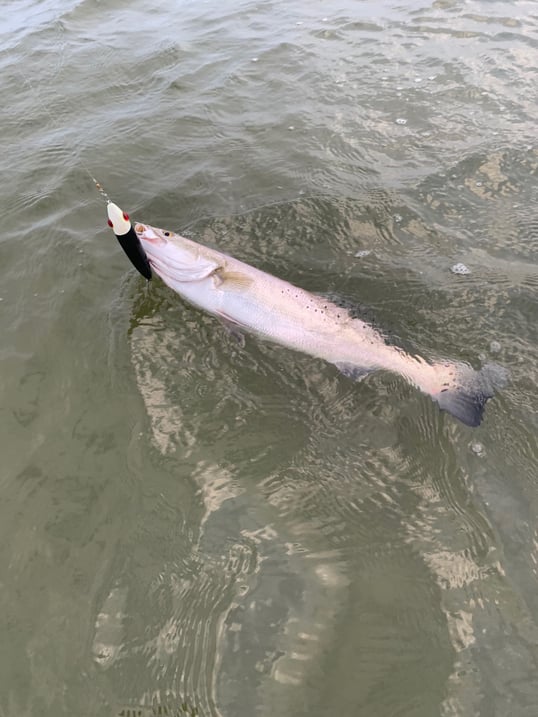 galveston drift boat fishing guides