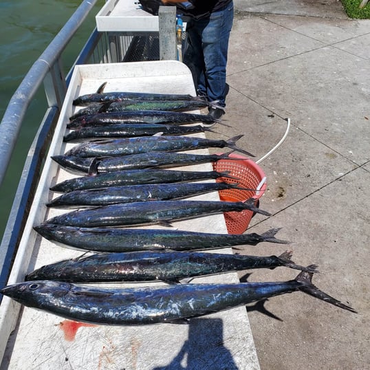 clearwater fishing charter