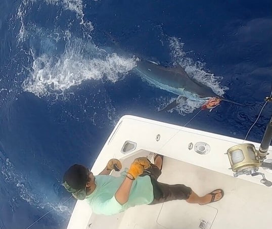 kona fishing charter