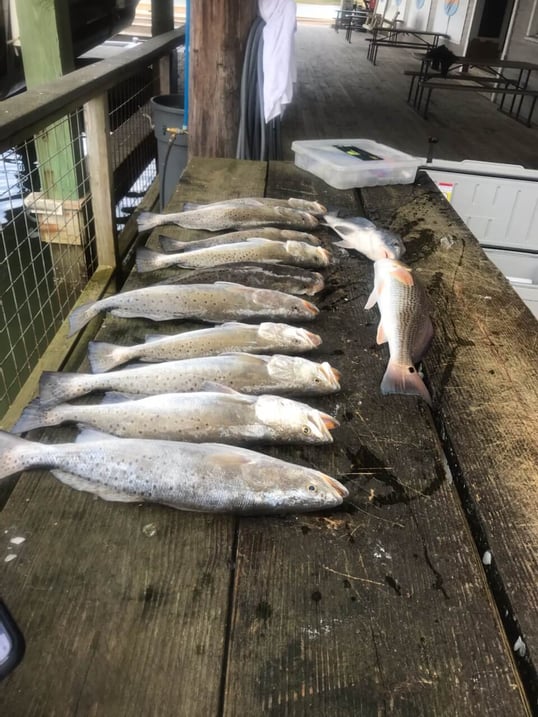 galveston tx fishing package