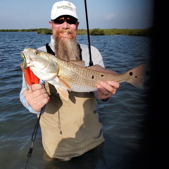 rockport fishing trips