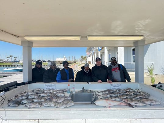 galveston cheap fishing trips