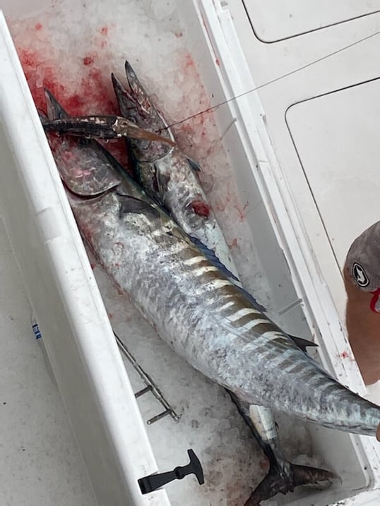 port aransas fishing charter