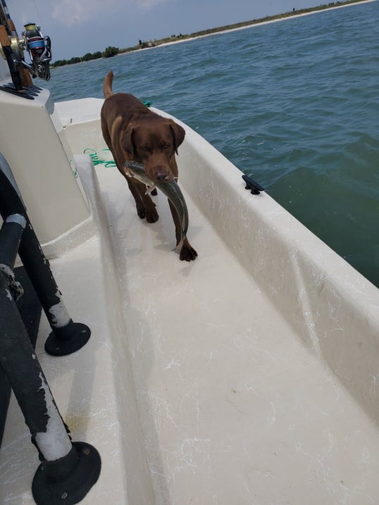 rockport-fishing-trip