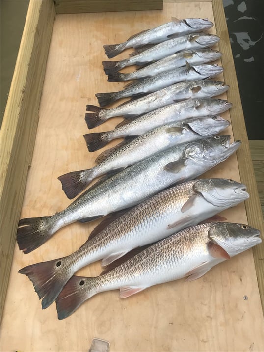 south-padre-fishing-trips