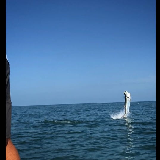 florida keys tarpon fishing guides