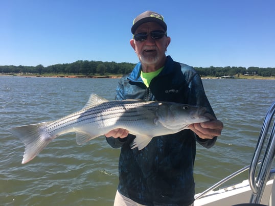 lake texoma striper fishing guides