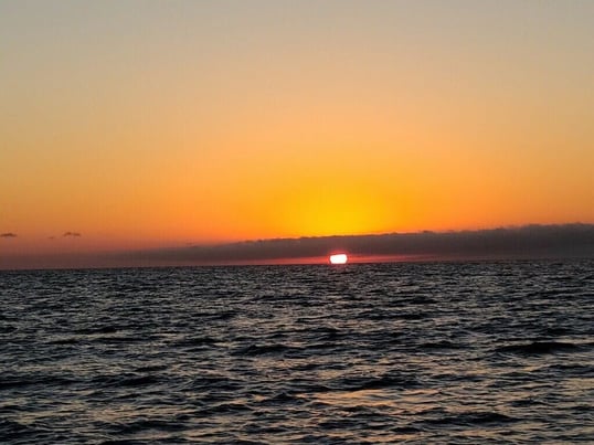 galveston fishing trips