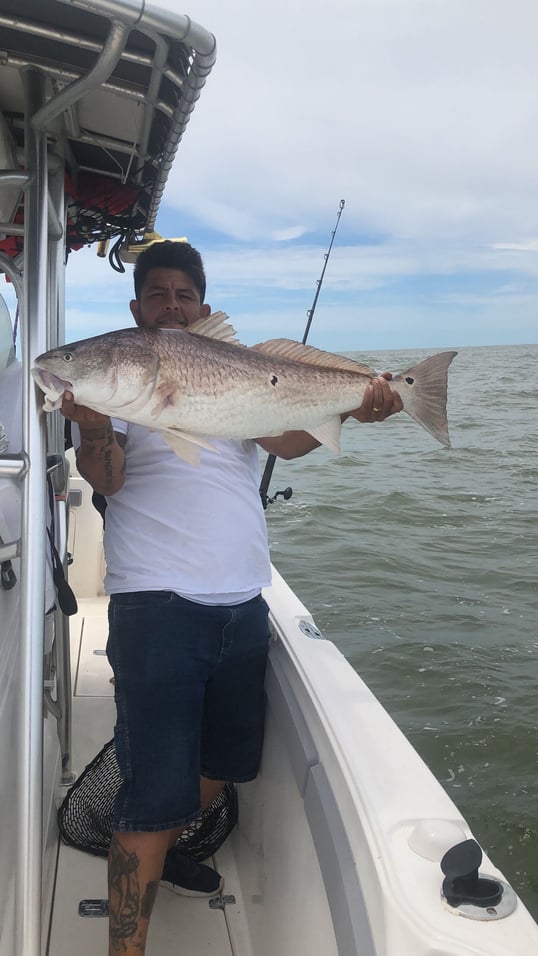 galveston bay fishing guide texas
