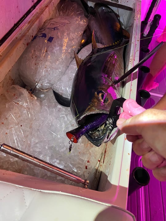 deep sea offshore texas