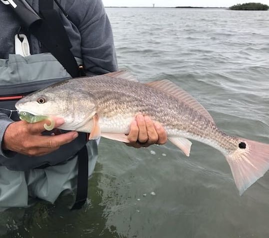 rockport fishing trips