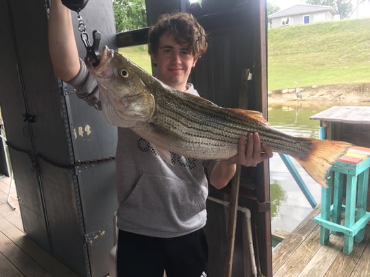 lake texoma fishing guides