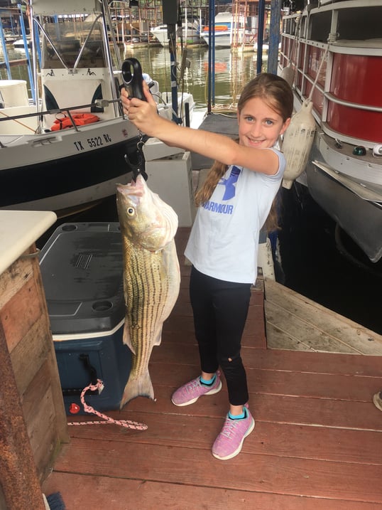 lake texoma striper guide