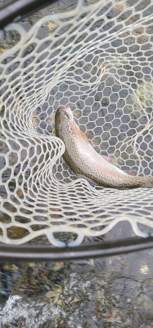 broken bow fishing trip