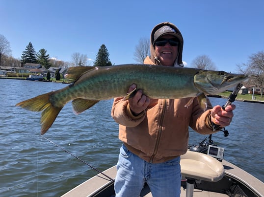 musky fishing gudies pa
