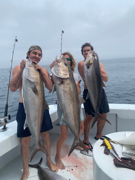 destin amberjack fishing