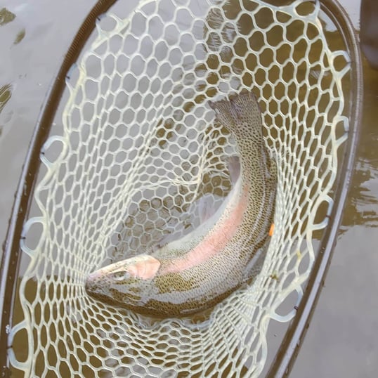 broken bow fishing charter